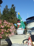 DSC09733.jpg