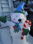DSC09748.jpg